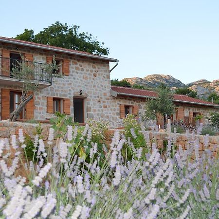 Villa Mara - Secluded House With Breathtaking View- Seline, Starigrad Paklenica Kültér fotó