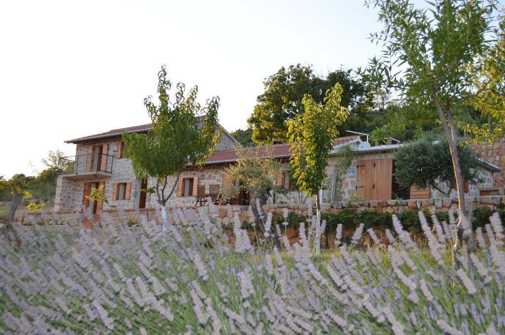 Villa Mara - Secluded House With Breathtaking View- Seline, Starigrad Paklenica Kültér fotó